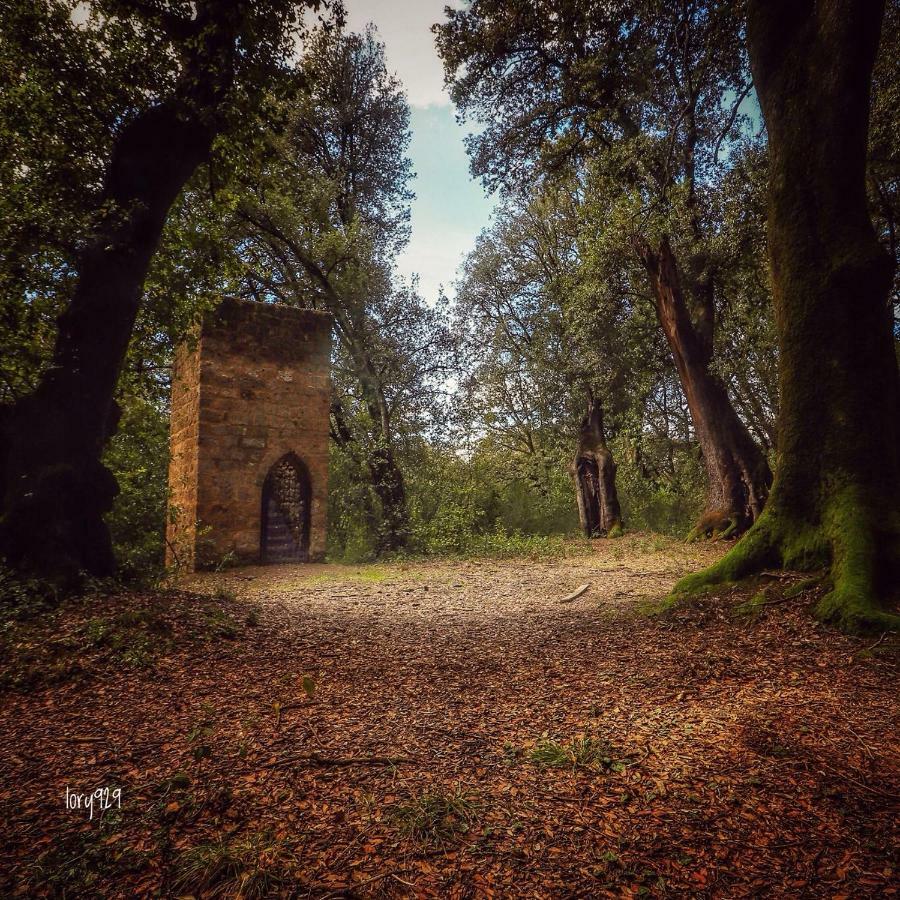 Platea Cavour Villa Sutri Exterior photo